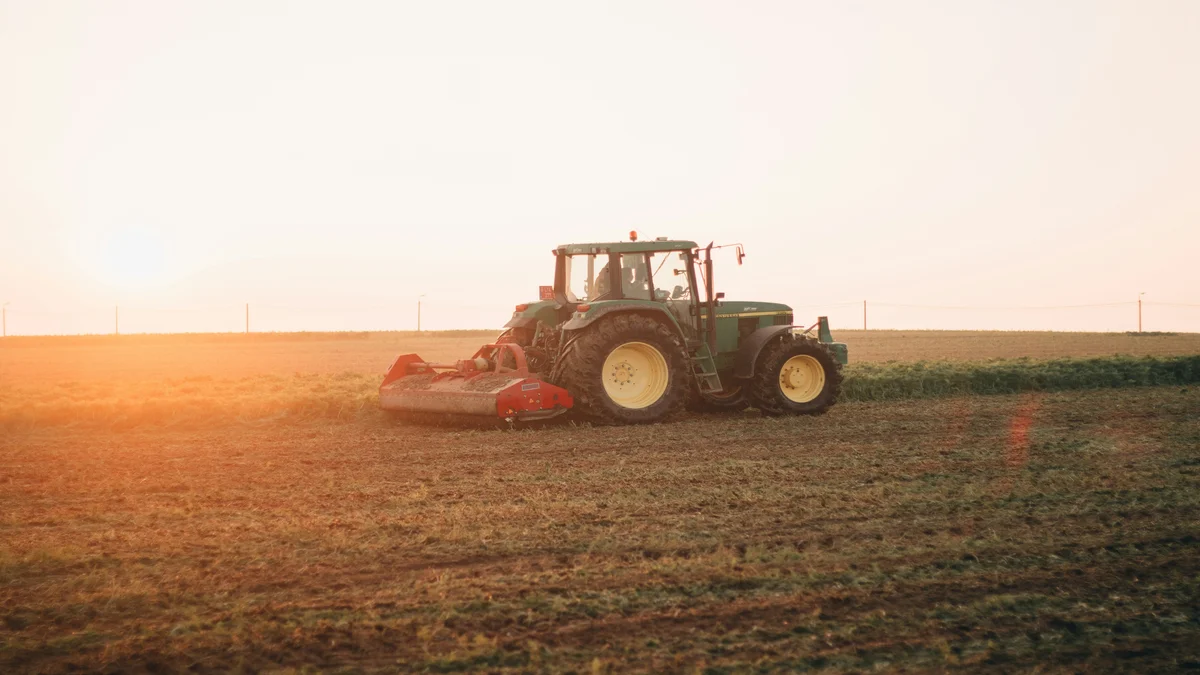 Cambridgeshire Fens Net-Zero Farming Trial Boosts Food Security