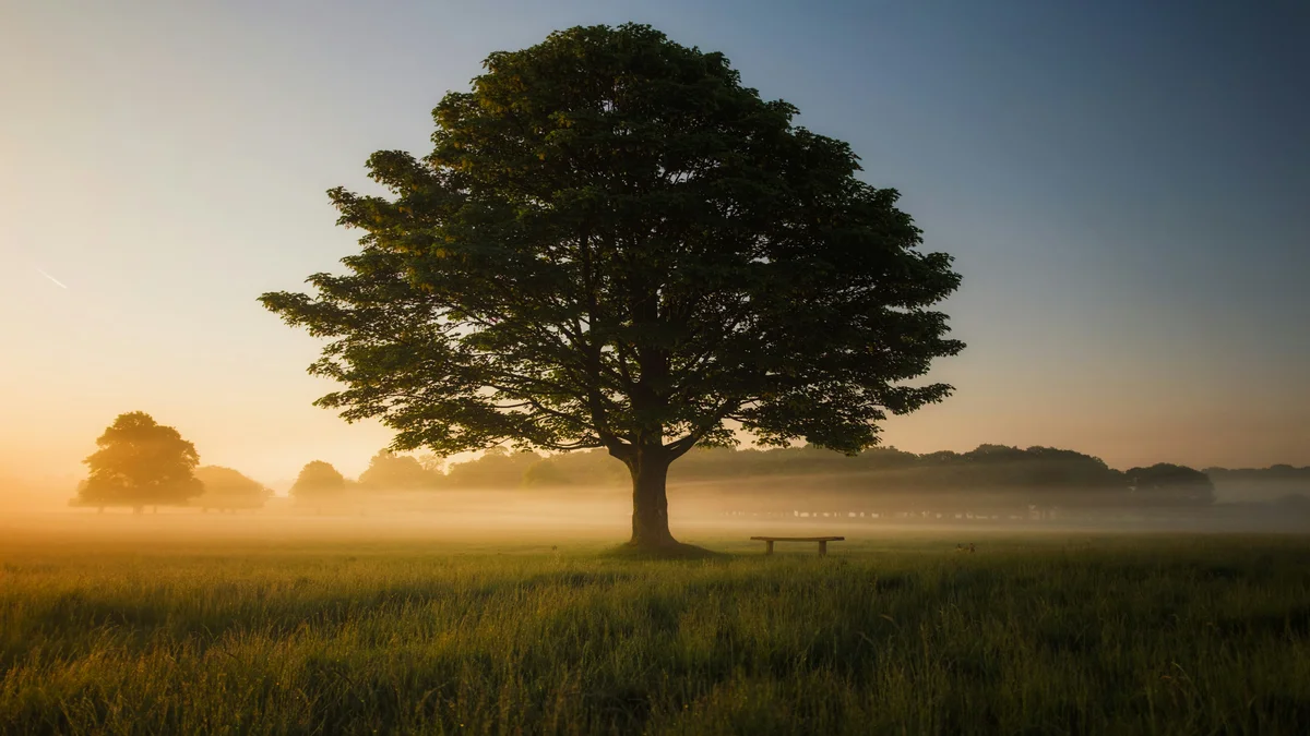 Regenerative Agriculture: Blueprint for Soil Health and Climate Action